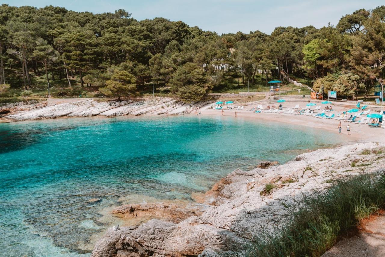 Studio Apartment Pinetree - Mali Lošinj Exteriör bild